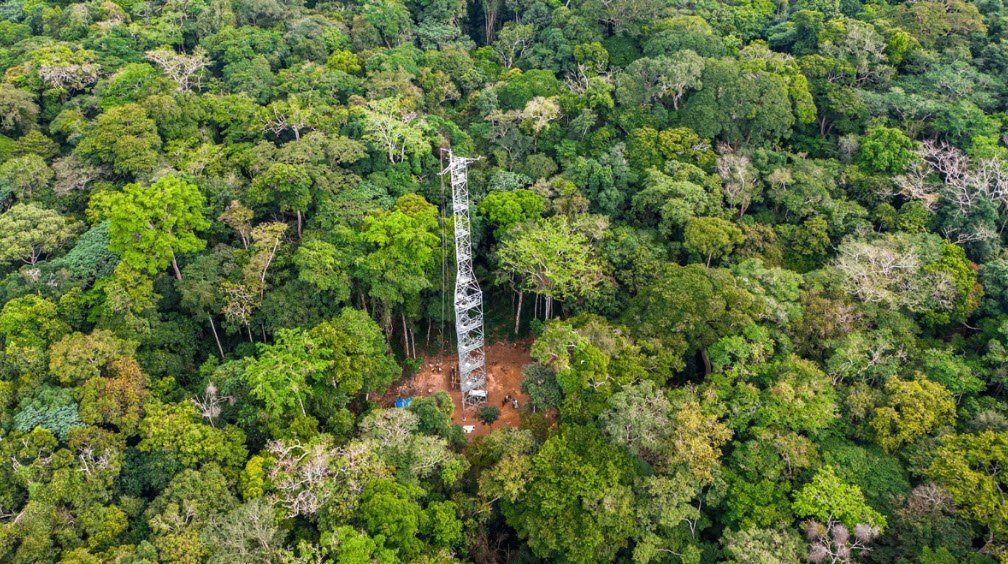 Yangambi Biosphere Reserve, Tshopo Province, DR Congo